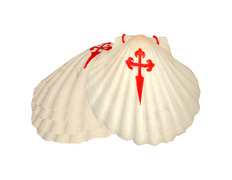 Add to Cart 5 Camino de Santiago Shells 5 Camino de Santiago Shells